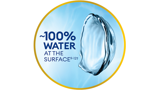 Surface de la lentille avec une teneur en eau proche de 100 %