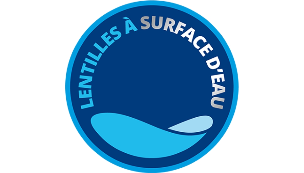 Logo des lentilles de contact à surface d'eau
