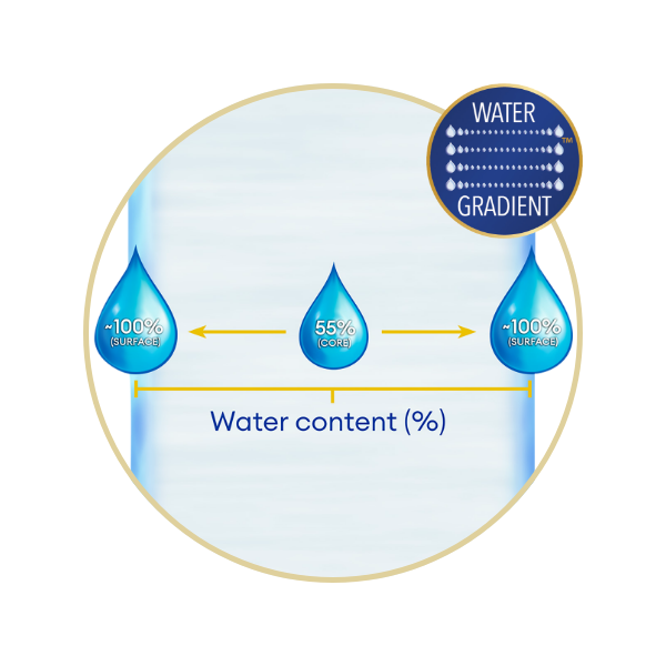 Water gradient cross-section with percentages