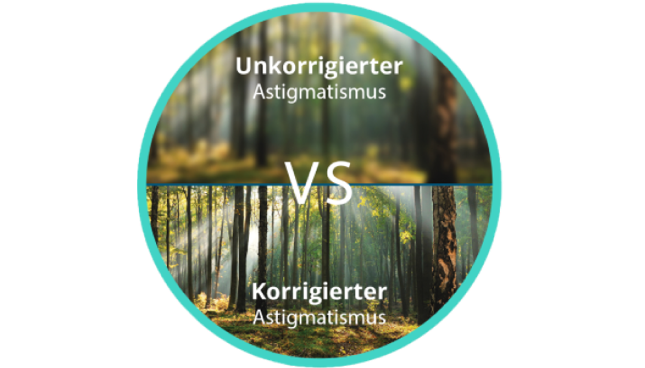 Unscharfe Ansicht des Waldes mit Astigmatismus im Vergleich zur klaren und scharfen Ansicht des Waldes mit korrigiertem Astigmatismus