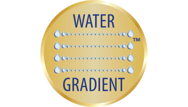 Water Gradient gold circle