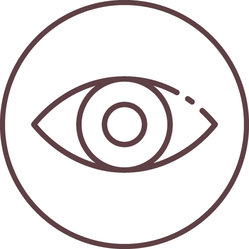 Eye Ball Icon