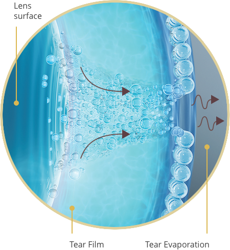 Lens surface, Tear film and Tear Evaporation