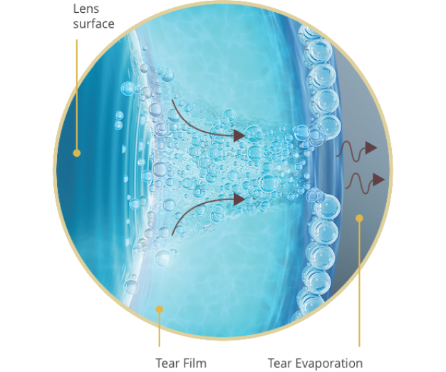 Water Gradient