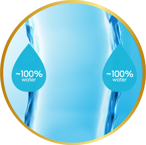 Eye surface showing nearly 100% water with Total contact lens in place